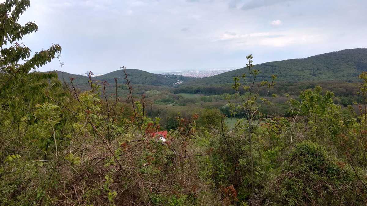Aussicht Auf Wien Vom Radroute