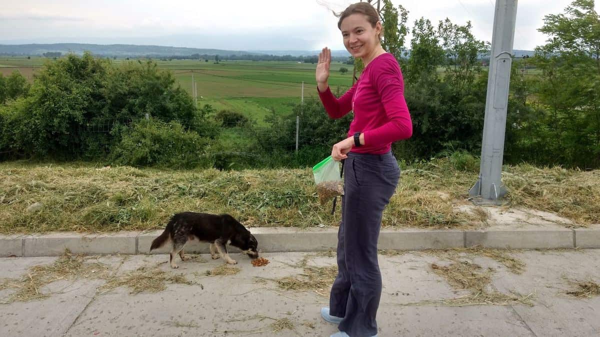 Frau F&Uuml;Ttert Streunerhund