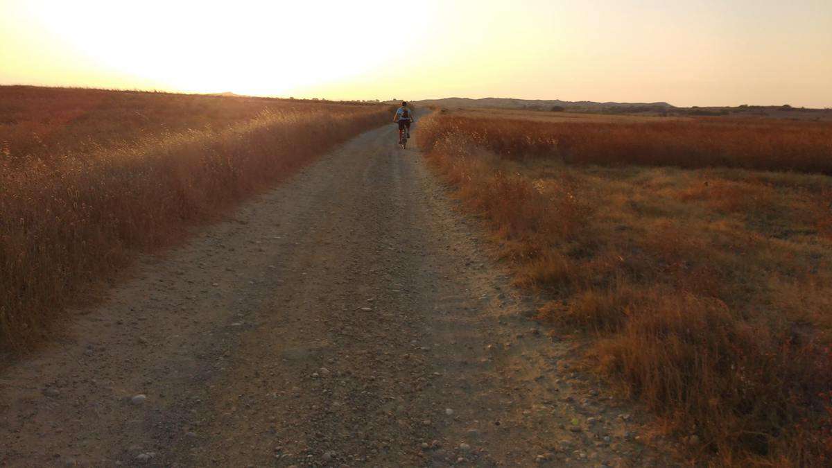 Feldweg, Abendstimmung