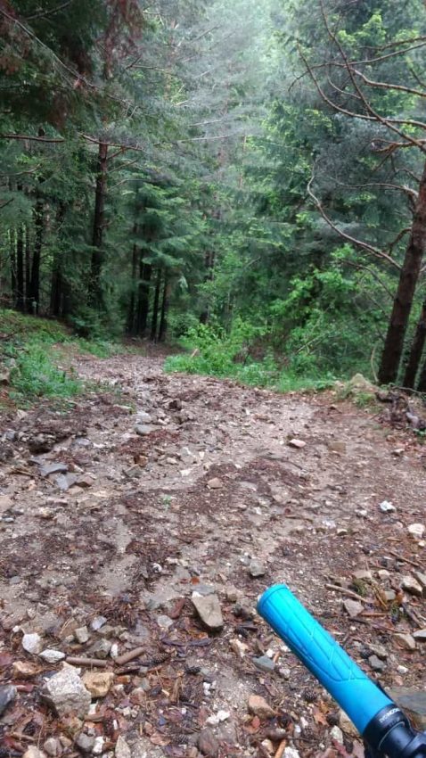 Mountainbiken In Bulgarien: Beinahe In Griechenland 6 Dirt Trail Im Wald