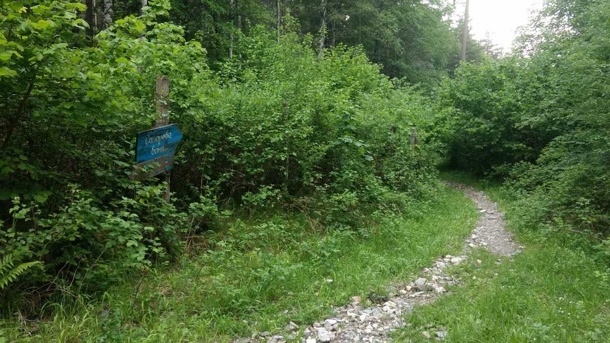 Mountainbiken In Bulgarien: Beinahe In Griechenland 8 Idyllisches Wald Trail