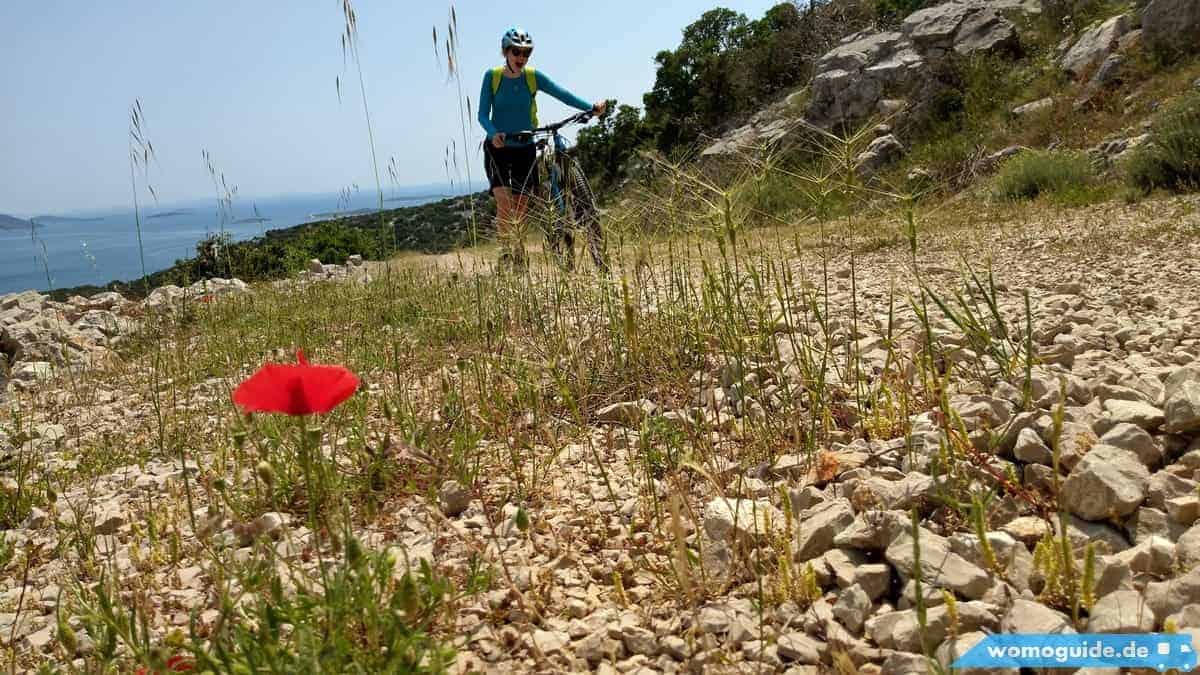 Mountainbike-Ausflug: Biograd-Pašman 7 Olya Mit Bike