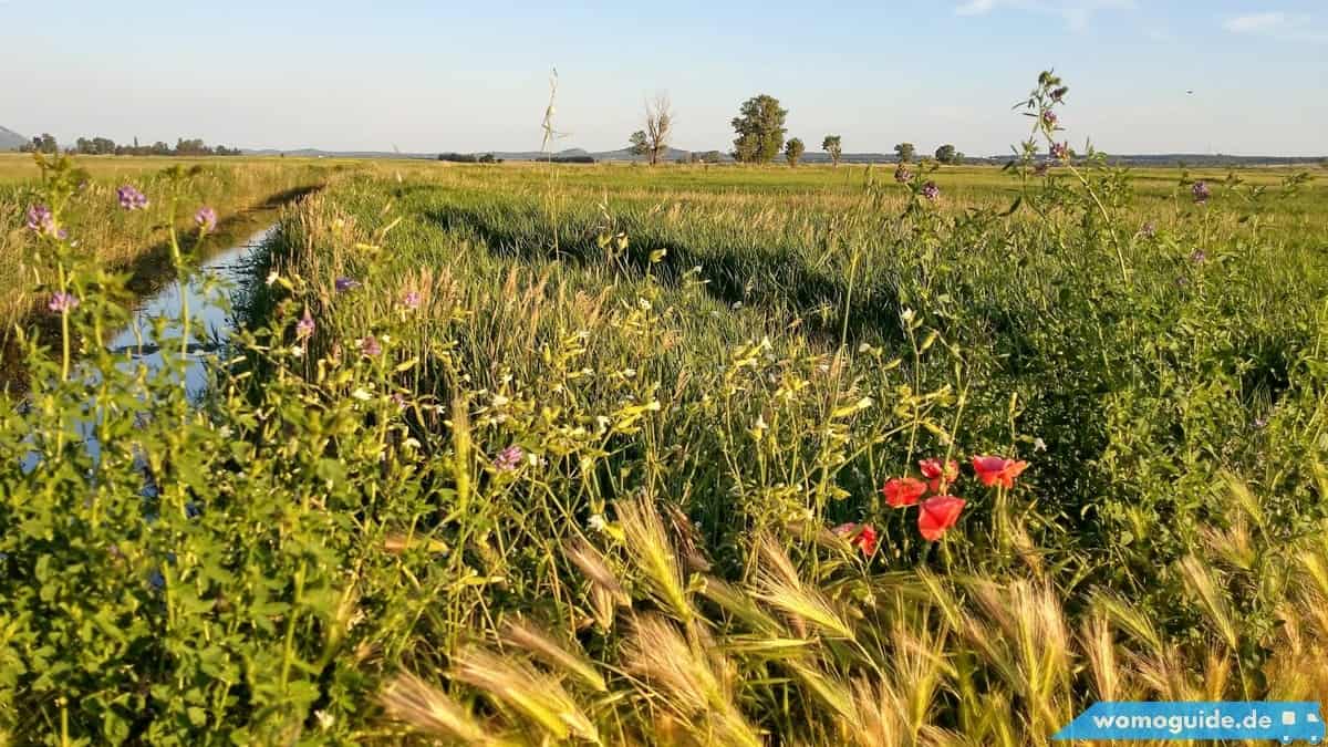 Die Schönsten Reisefotos Der Letzten Sechs Monate: Fotoparade 1/2018 9 Sumpflandschaft Nähe Biograd, Kroatien