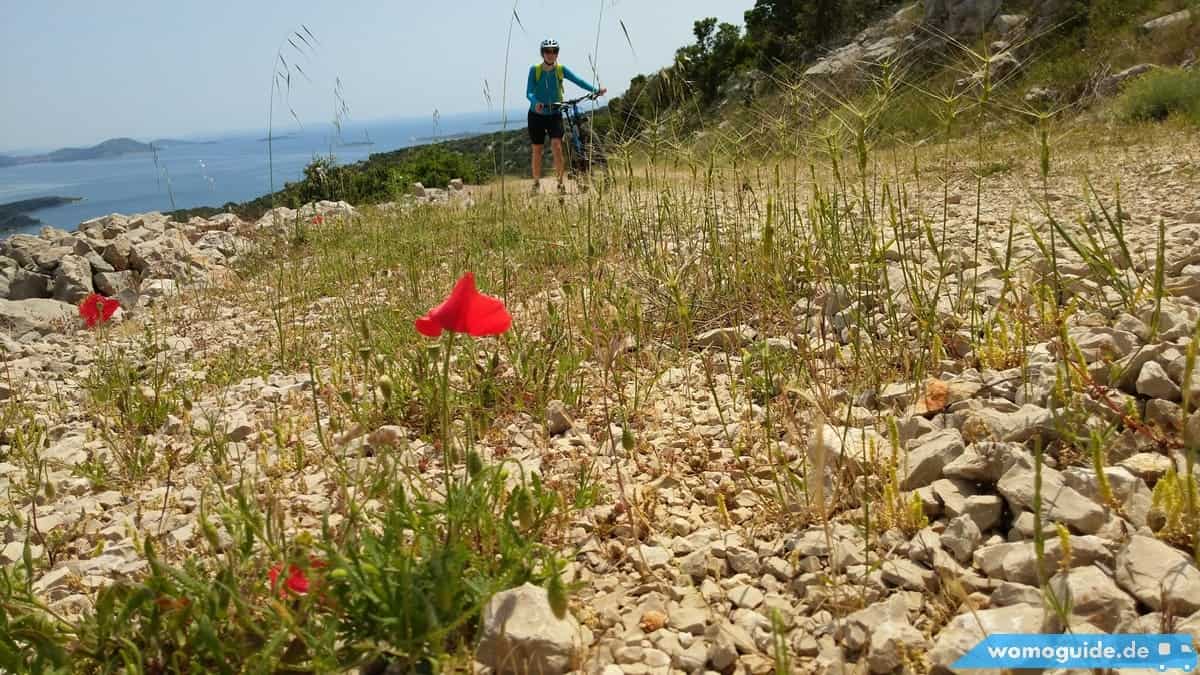 Die Schönsten Reisefotos Der Letzten Sechs Monate: Fotoparade 1/2018 5 Mountainbiken In Kroatien