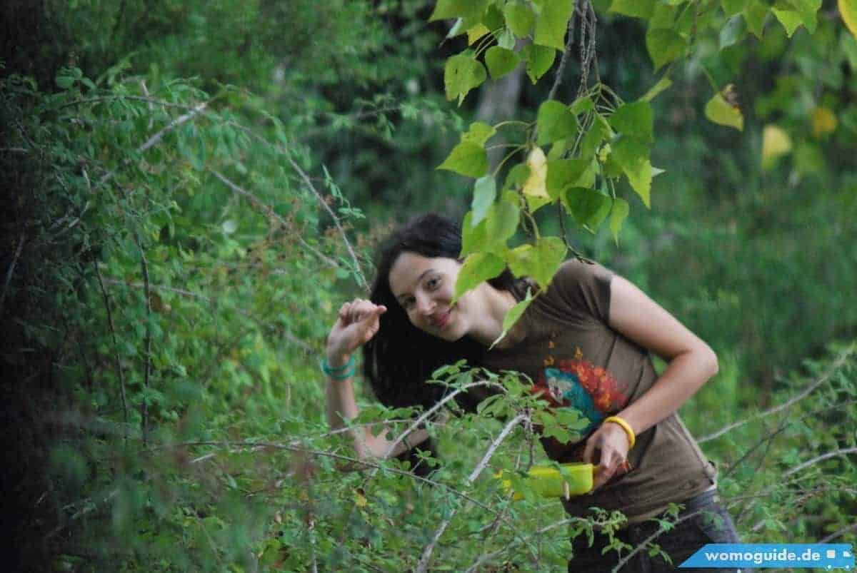 Beeren Pfl&Uuml;Cken In Dodoni