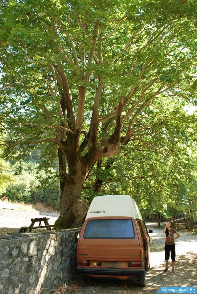 Wohnmobil Unter Einem Baum