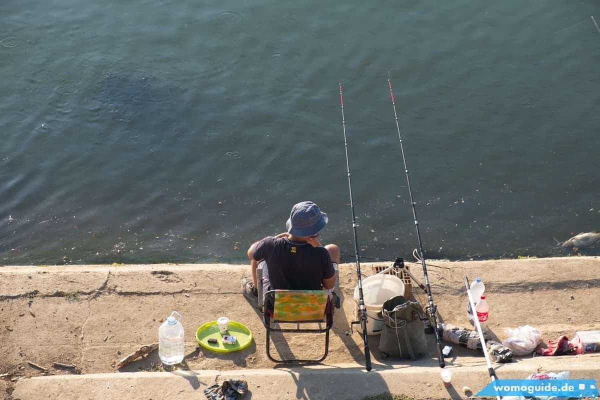 Belgrad Mit Dem Wohnmobil 30 Save In Belgrad: Fischer