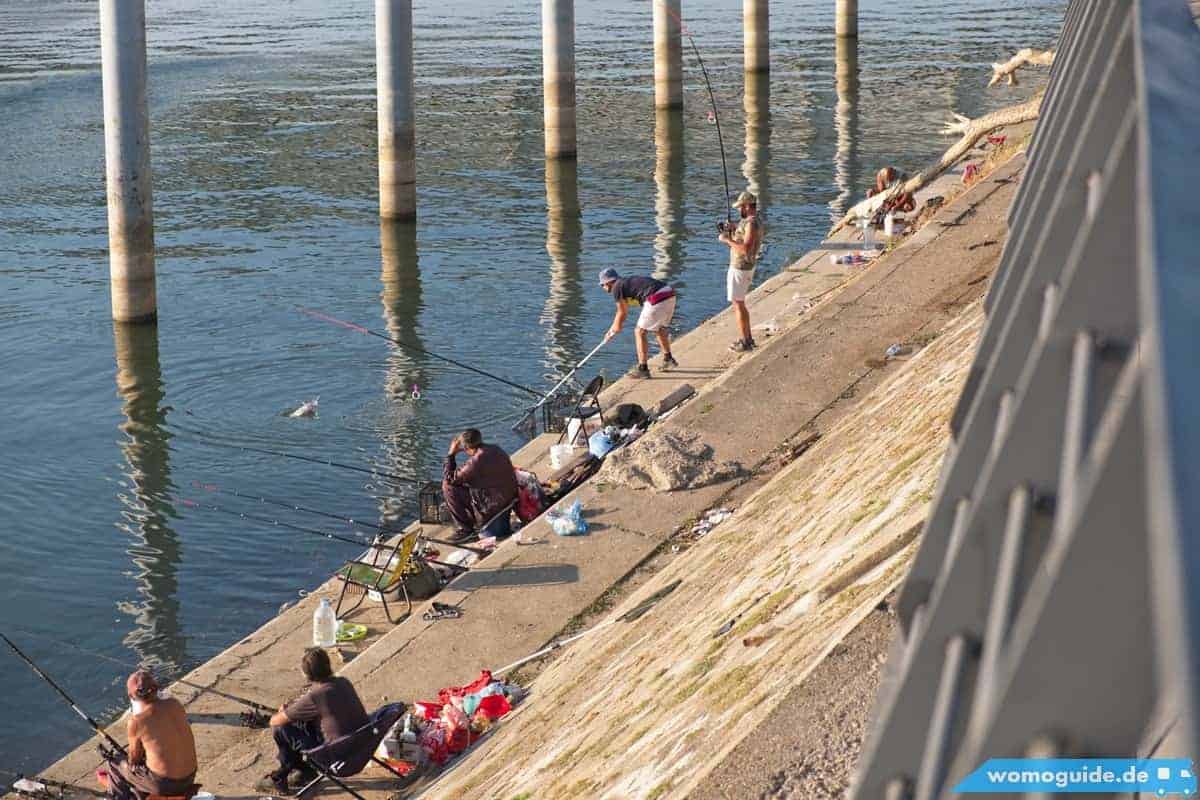 Belgrad Mit Dem Wohnmobil 29 Save In Belgrad: Fischer