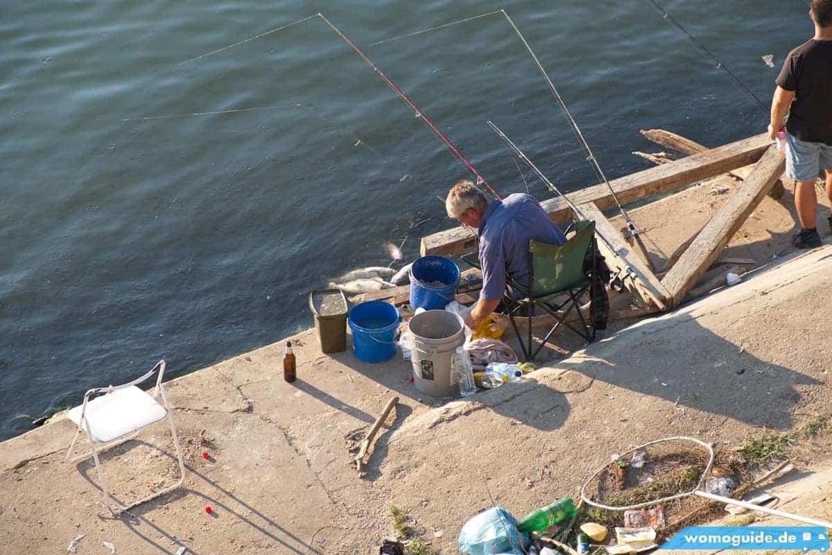 Belgrad Mit Dem Wohnmobil 28 Save In Belgrad: Fischer