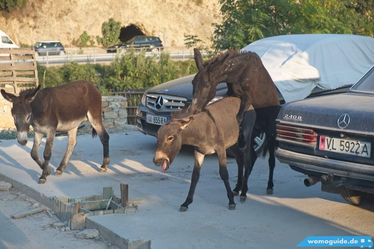 Mit Dem Wohnmobil Von Vlorë Über Den Llogara-Pass 11 Livadhi Beach (HimarË): Unfug Am Parkplatz