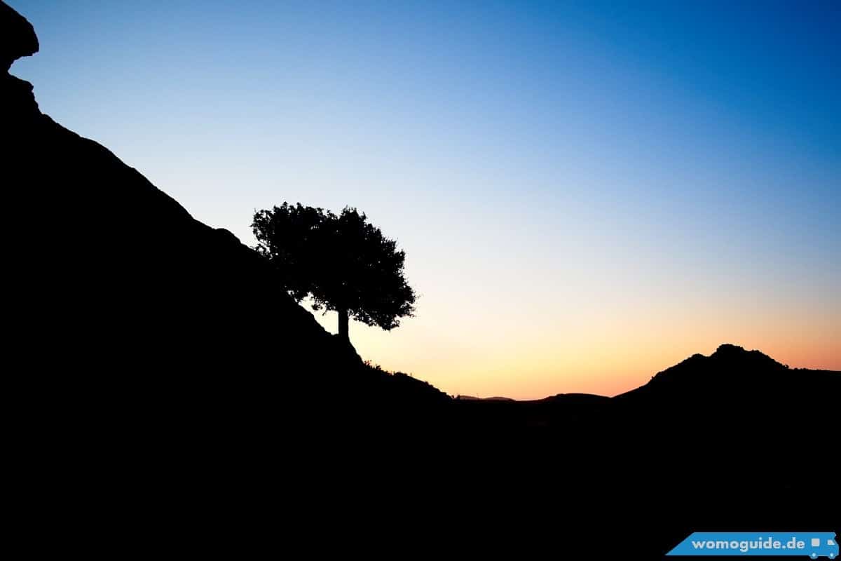 Silhouette Mit Baum Und Berg