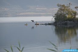 Dscf6505Griechenland018