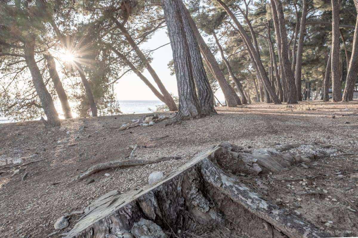 Camping Pineta In Savudrija, Kroatien