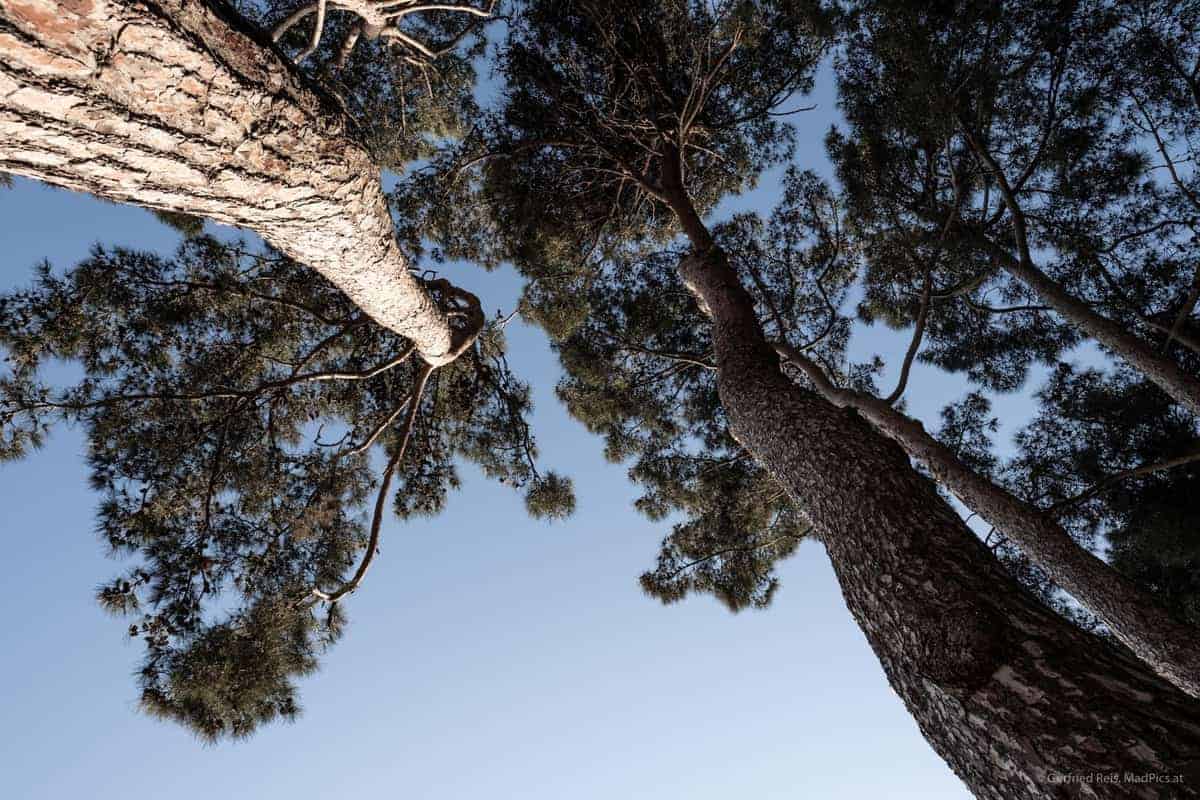 Camping Pineta In Savudrija, Kroatien