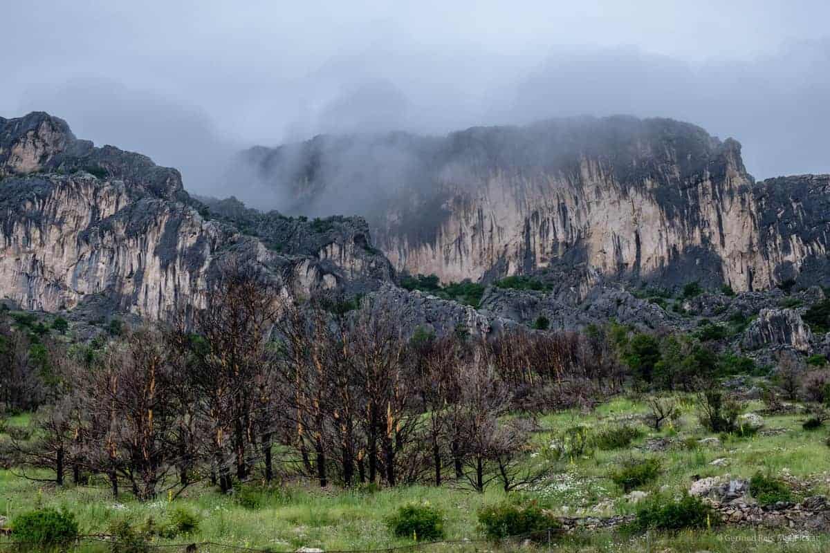 Spuren Von Waldbr&Auml;Nden In Kroatien Bei Makarska