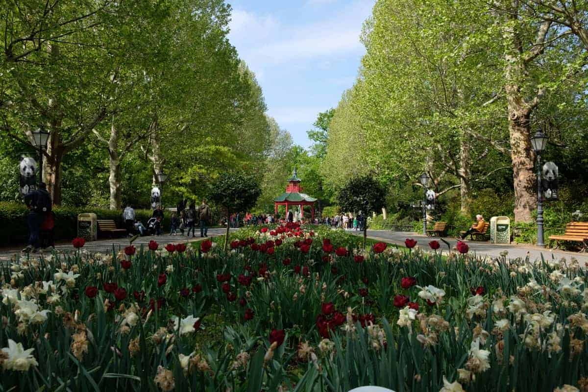 Berlin Mit Dem Wohnmobil 107 Tiergarten Berlin