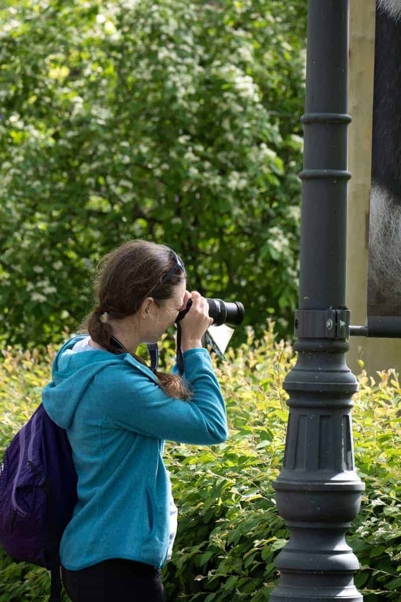 Berlin Mit Dem Wohnmobil 108 Tiergarten Berlin