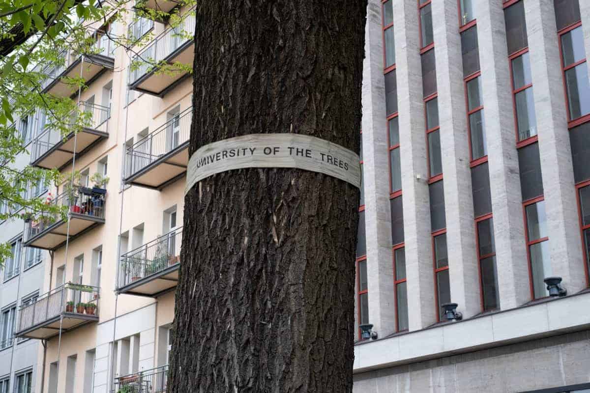 Berlin Mit Dem Wohnmobil 157 Beschrifteter Baum