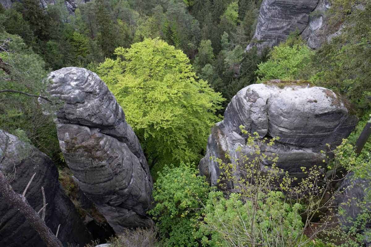 Felsen Im Elbsandsteingebirge