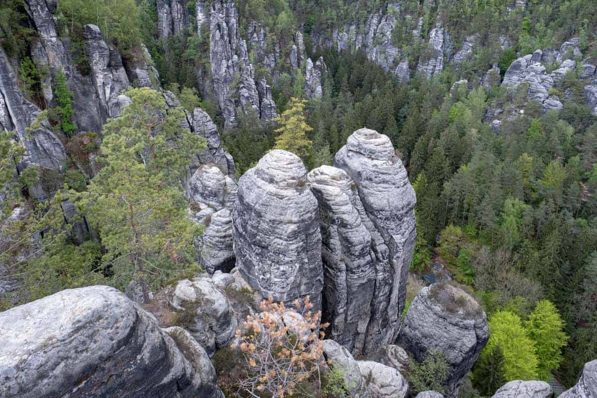 Bastei Und Wald