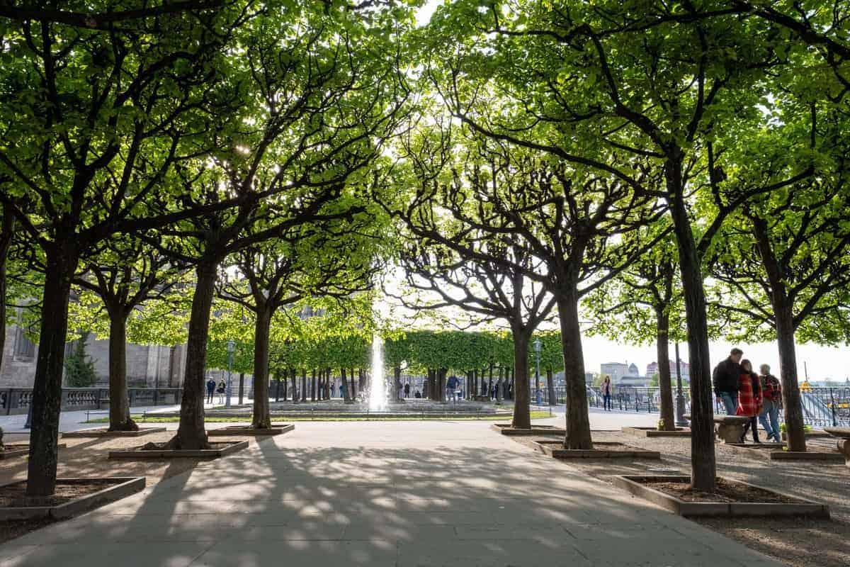 Dresden Mit Dem Wohnmobil 26 BrÜHlsche Terrasse Dresden