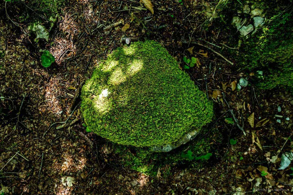 Wandern In Der Soca-Tal