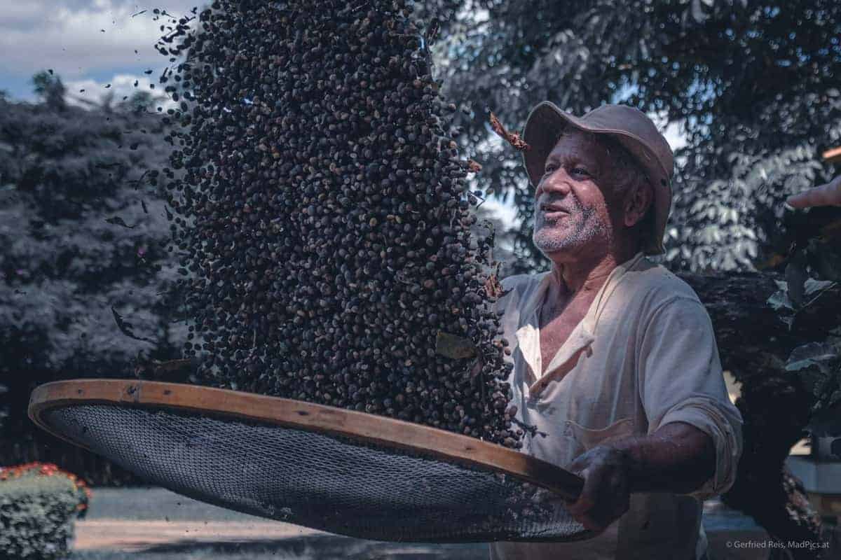 Die Schönsten Reisefotos 2019 19 Kaffee-Farmer In Brasilien