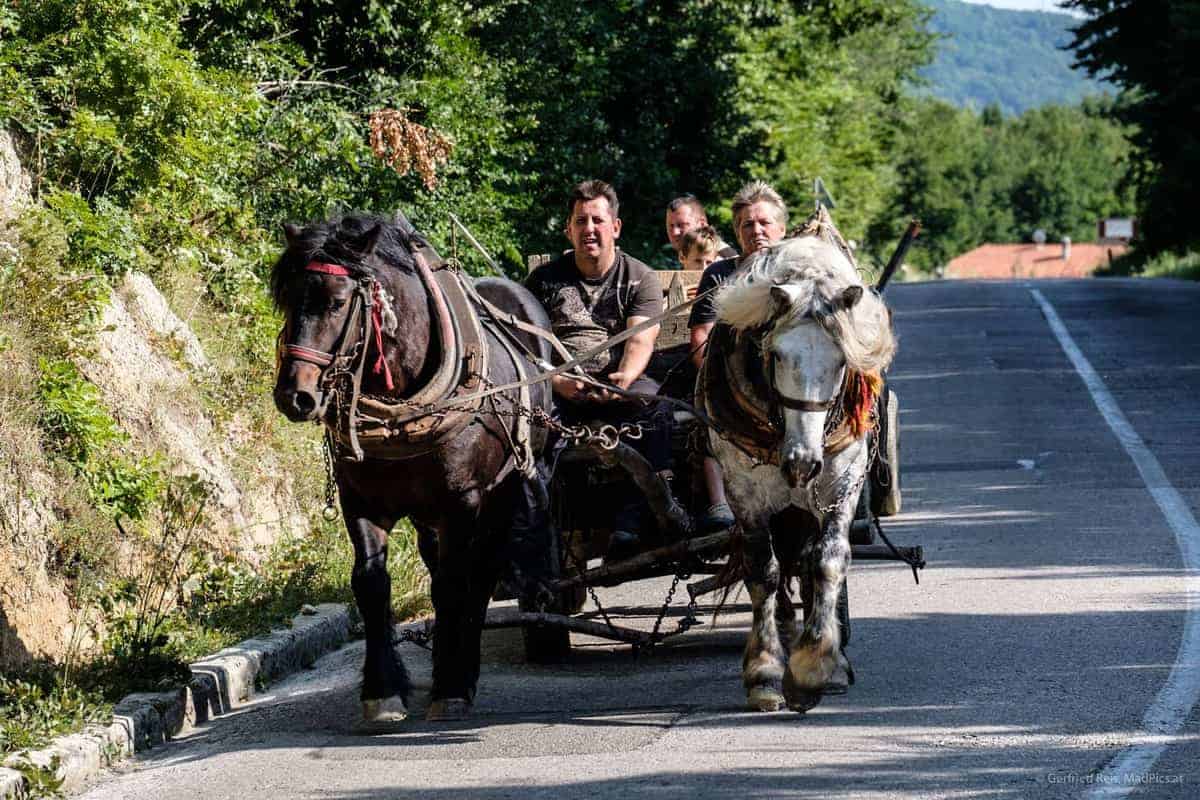 Die Schönsten Reisefotos 2019 22 Fuhrwerk In Bosnien