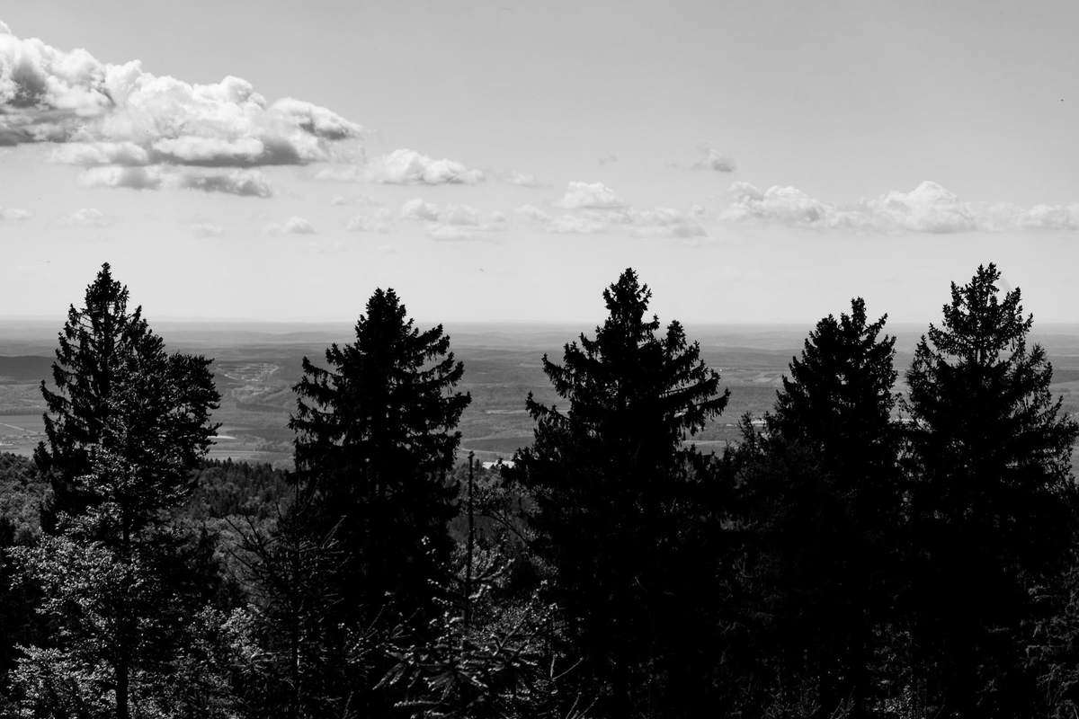 Align Blick Vom Günser Gebirge (Kleiner Hirschenstein) Nach Süden