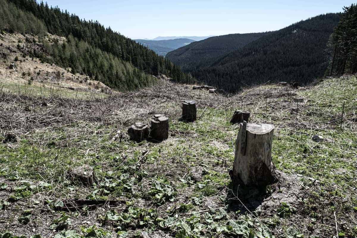 Ausblick Vom Pfaffensattel