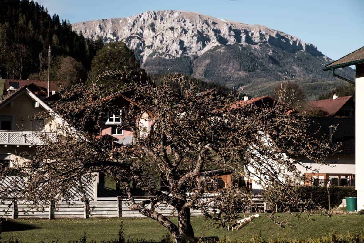 Blick Auf Die Rax Aus Kapellen