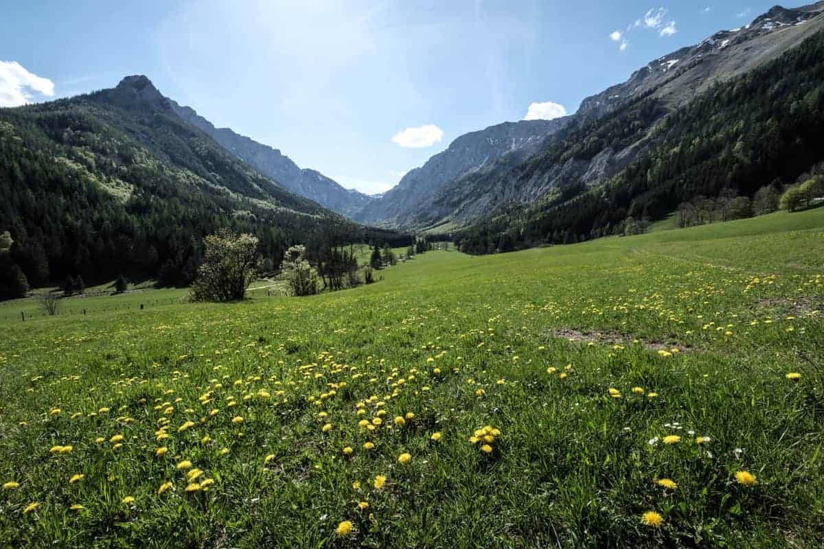 Im Hochschwab-Massiv Mit Dem Wohnmobil 12 Blick Aufs Hochschwab-Massiv Über Blumenwiese