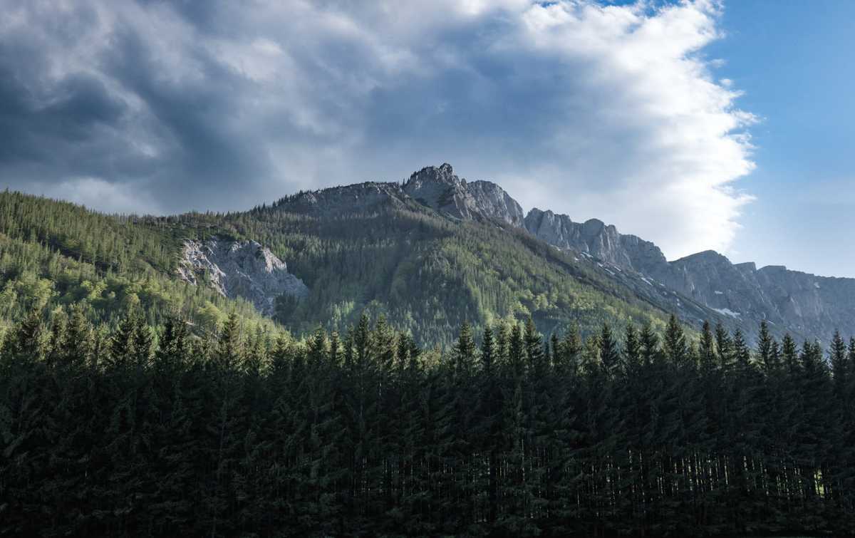 Im Hochschwab-Massiv Mit Dem Wohnmobil 17 Gipfel Des Hochschwab-Massivs Mit Wald Davor Und Wolken Dahinter