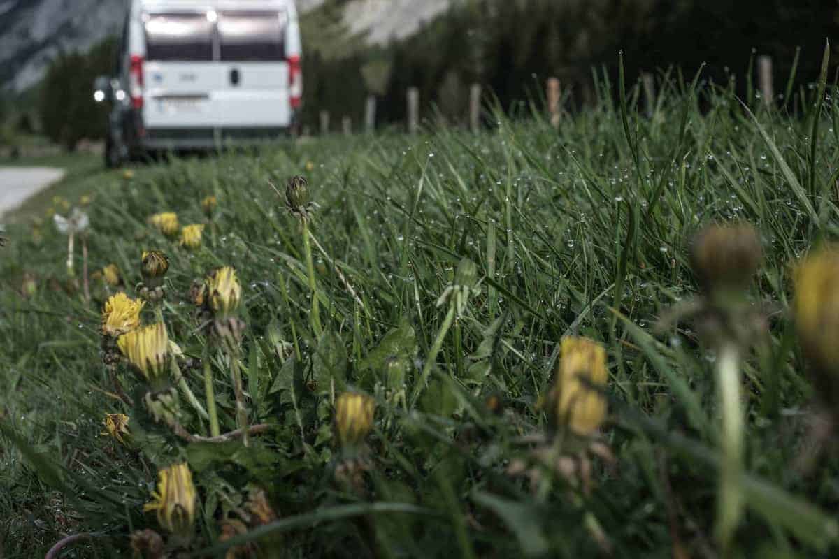 Im Hochschwab-Massiv Mit Dem Wohnmobil 19 Morgentau Im Gras Mit Camper Im Hintergrund