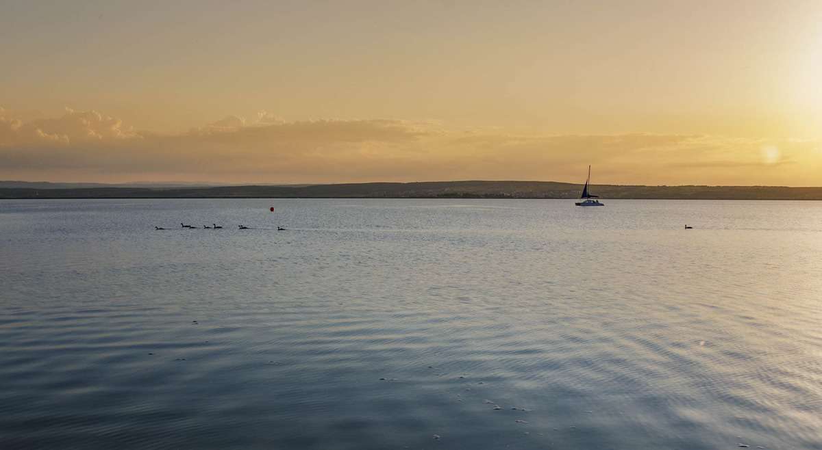 Der Neusiedler See In Der Abendsonne
