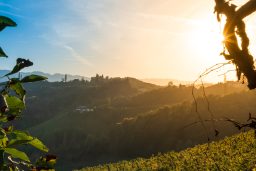 Die Südsteirische Weinstraße Mit Dem Wohnmobil 17 Weinberge In Der Südsteiermark