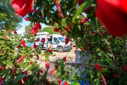 Wohnmobil hinter Blumen