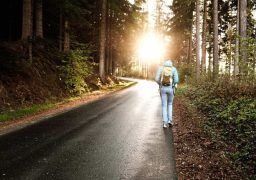 Corona: Was Heißt Das Fürs Wohnmobil? 14 Frau Geht In Der Abendsonne Im Wald Spazieren