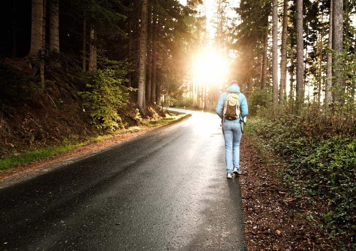 Frau Geht In Der Abendsonne Im Wald Spazieren