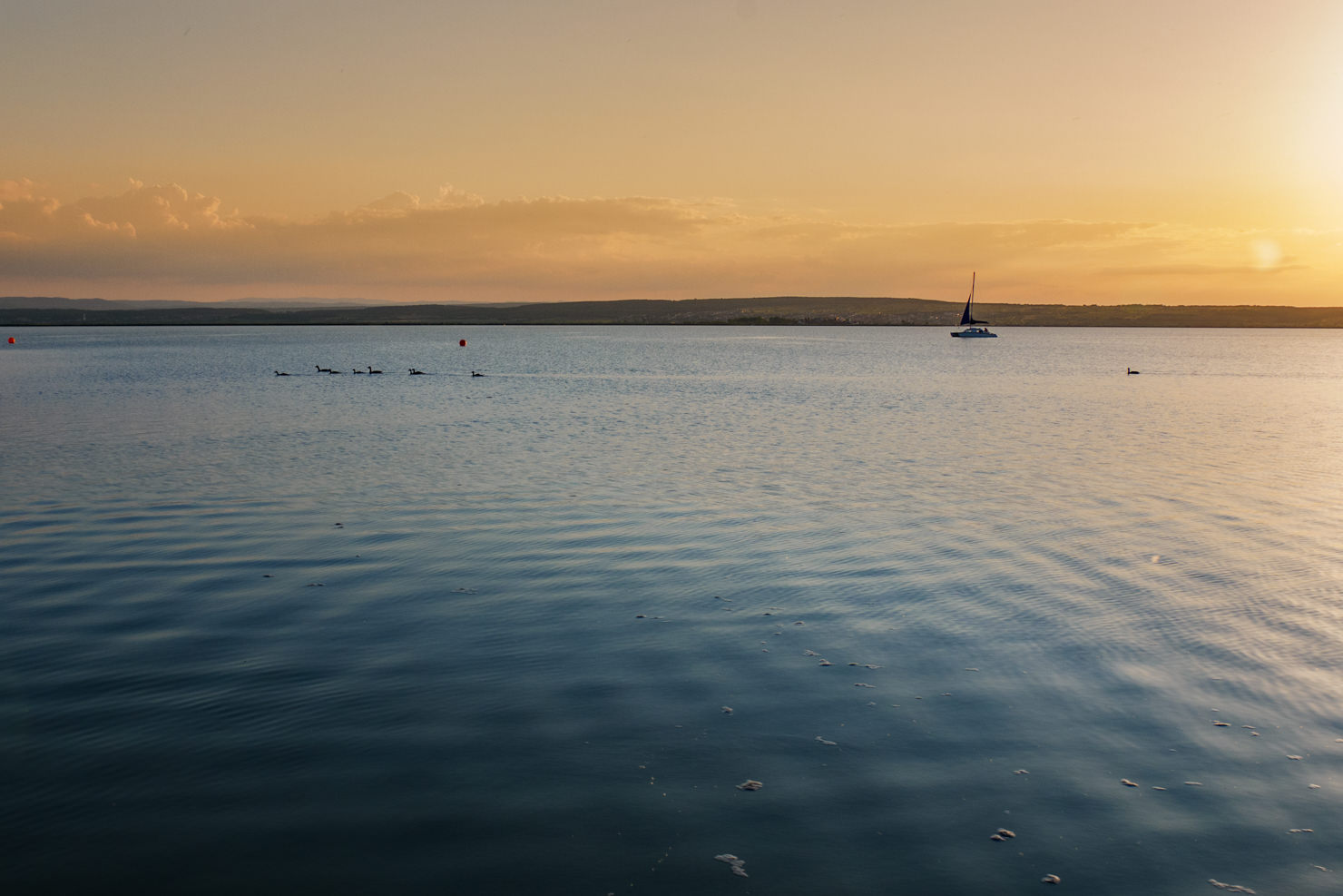 Neusiedler See im Abendlicht