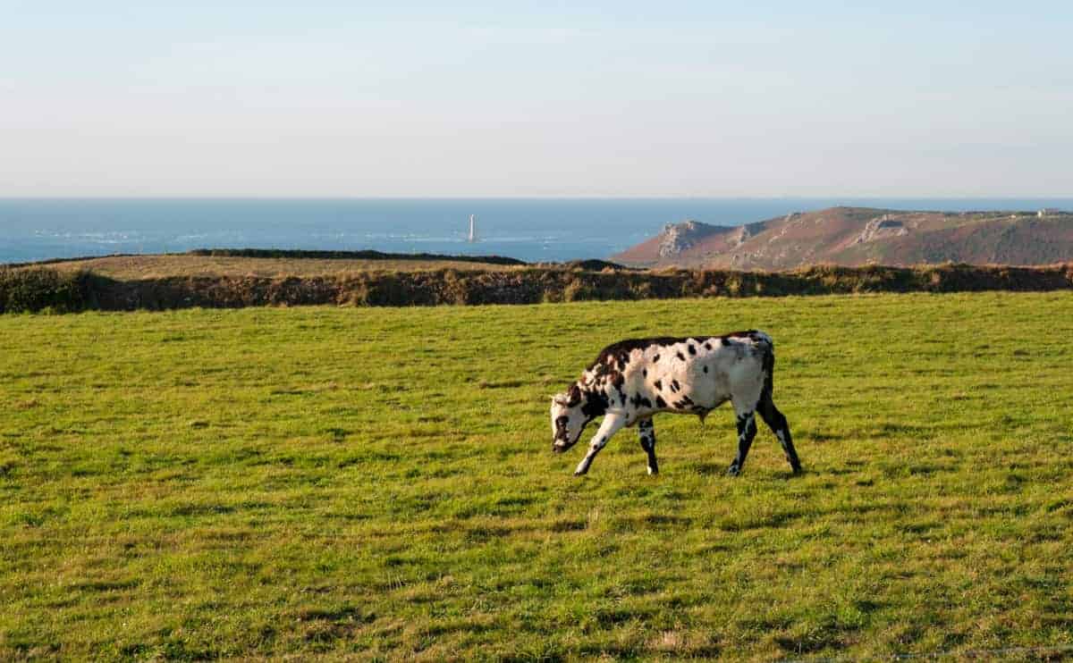 Cotentin Mit Dem Wohnmobil 45 Cotentin Westkueste Wohnmobil 4