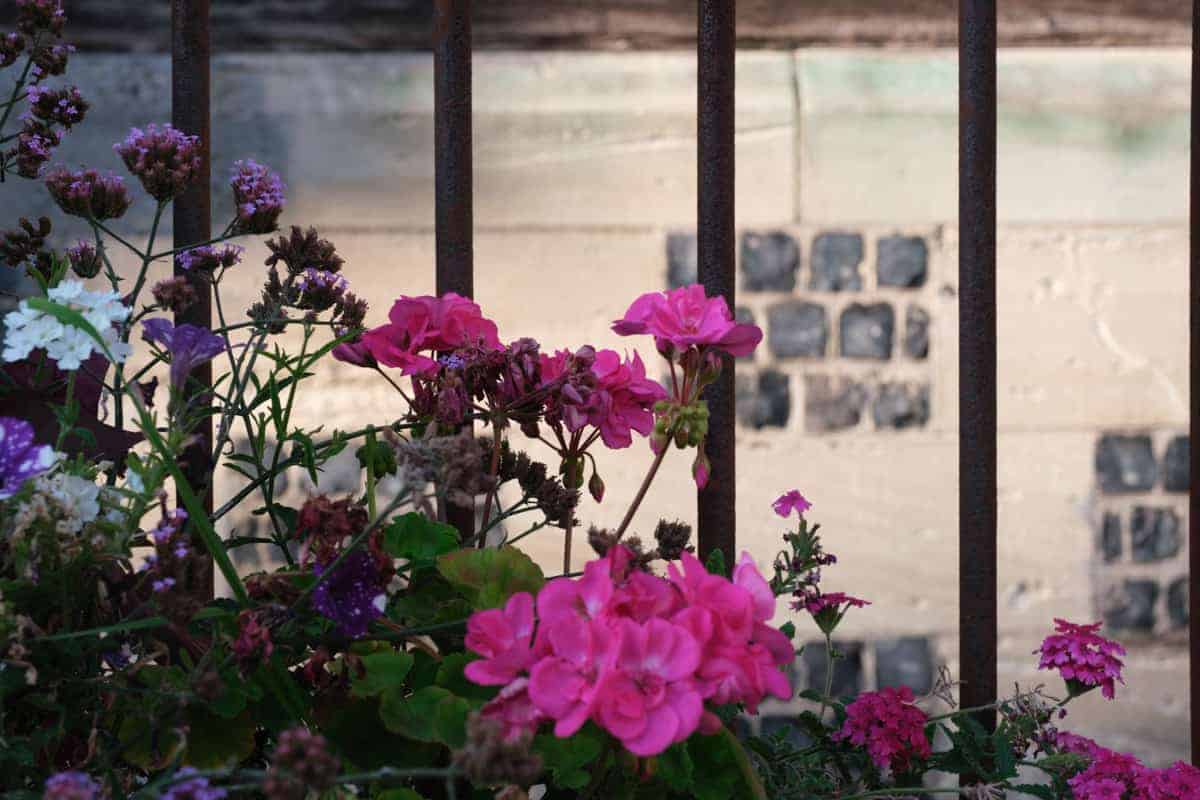 Lehavre Honfleur Wohnmobil 25