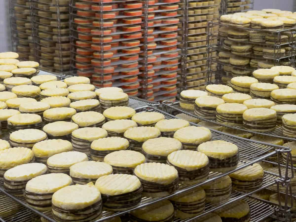 K&Auml;Seproduktion In Livarot