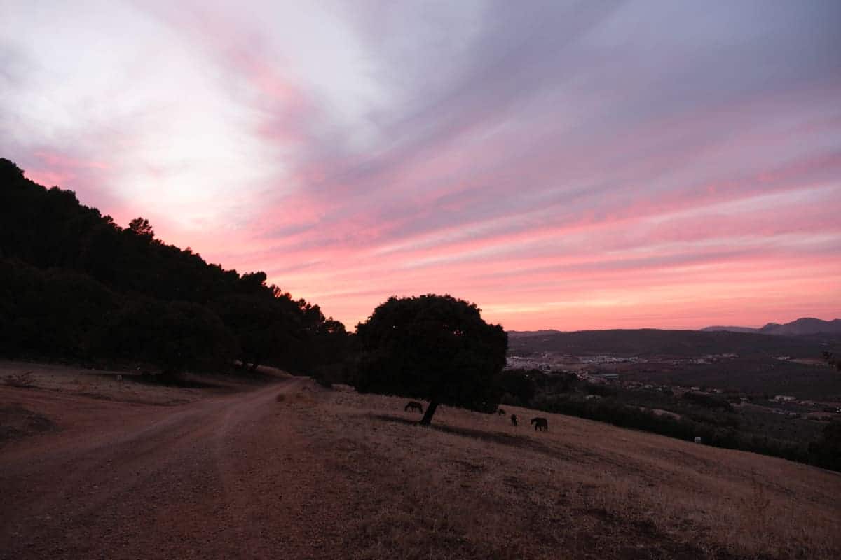 Abendstimmung In Andalusien