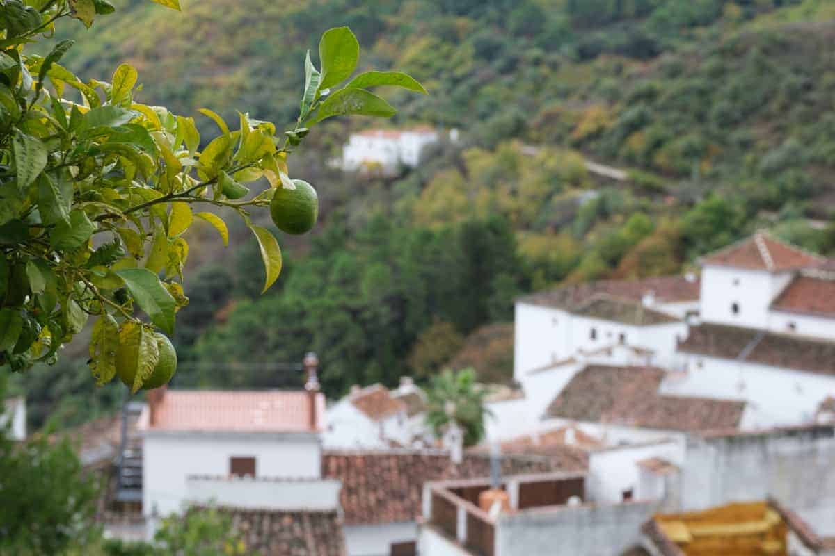 Pueblos Blancos In Andalusien