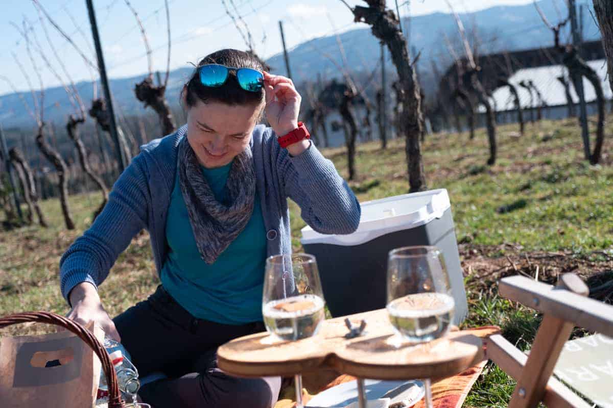 Weingarten-Picknick Mit Dem Wohnmobil
