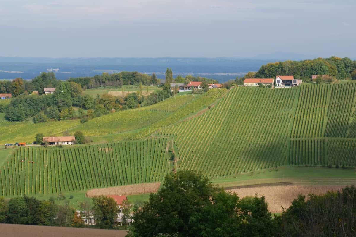 Südsteirische Weinberge
