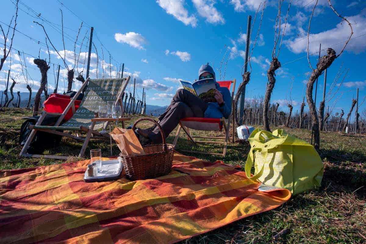 Ein Weingarten-Picknick Mit Schauaufsland