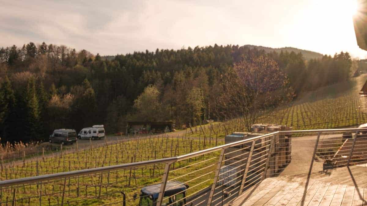 Stellplatz Am Weingut