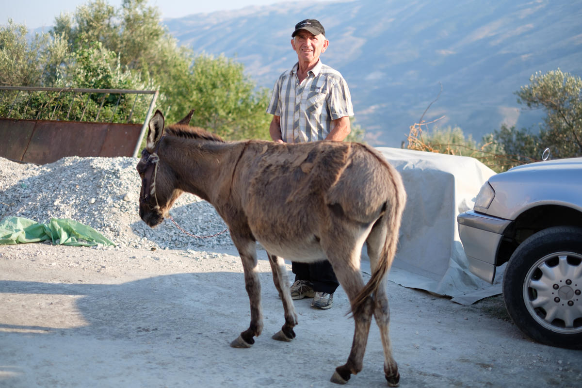 Auch Touristen Oder Nicht 3
